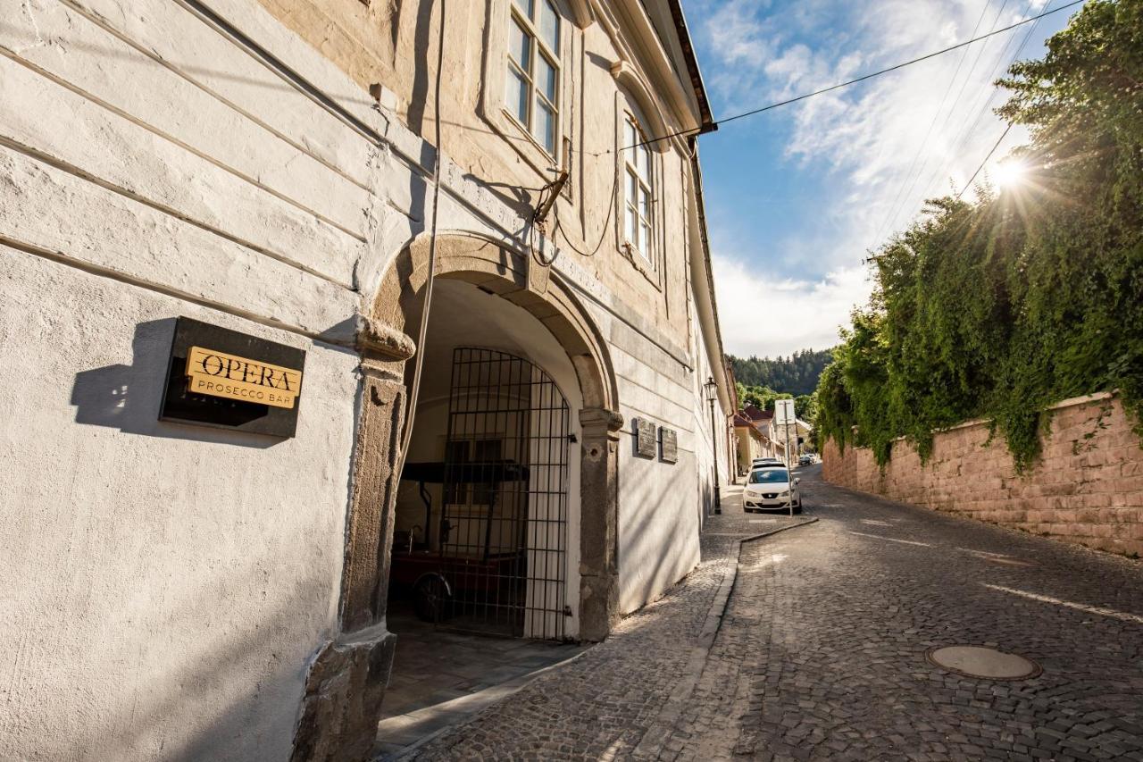Apartman Blue Moon Banská Štiavnica Exteriér fotografie